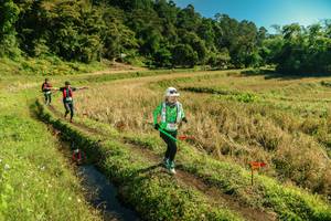 BIB: 
                            <button type="button" onclick="openModal(26692753)" class="btn btn-primary btn-sm float-right btn-popup" data-toggle="modal" data-target=".modal-high-quality">
                        <i class="fas fa-shopping-cart"></i> Add to Cart
                    </button>
                                            <button type="button" onclick="isThisMe(26692753, true)" class="btn btn-success btn-sm float-right btn-popup btn-isme hidden" data-toggle="tooltip" data-placement="bottom" title="นี่คือรูปของคุณใช่ไหม คลิกที่นี่เพื่อเอาเข้าอัลบั้ม">
                        <i class="fas fa-plus"></i> Add to album
                    </button>
                    <button type="button" onclick="isThisMe(26692753, false)" class="btn btn-warning btn-sm float-right btn-popup btn-isnotme hidden">
                        <i class="fas fa-ban"></i> Remove from album
                    </button>