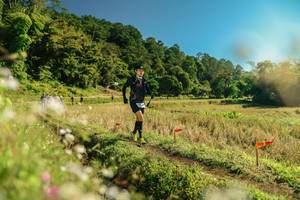 BIB: 
                            <button type="button" onclick="openModal(26688324)" class="btn btn-primary btn-sm float-right btn-popup" data-toggle="modal" data-target=".modal-high-quality">
                        <i class="fas fa-shopping-cart"></i> Add to Cart
                    </button>
                                            <button type="button" onclick="isThisMe(26688324, true)" class="btn btn-success btn-sm float-right btn-popup btn-isme hidden" data-toggle="tooltip" data-placement="bottom" title="นี่คือรูปของคุณใช่ไหม คลิกที่นี่เพื่อเอาเข้าอัลบั้ม">
                        <i class="fas fa-plus"></i> Add to album
                    </button>
                    <button type="button" onclick="isThisMe(26688324, false)" class="btn btn-warning btn-sm float-right btn-popup btn-isnotme hidden">
                        <i class="fas fa-ban"></i> Remove from album
                    </button>