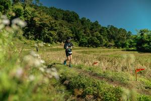 BIB: 
                            <button type="button" onclick="openModal(26738204)" class="btn btn-primary btn-sm float-right btn-popup" data-toggle="modal" data-target=".modal-high-quality">
                        <i class="fas fa-shopping-cart"></i> Add to Cart
                    </button>
                                            <button type="button" onclick="isThisMe(26738204, true)" class="btn btn-success btn-sm float-right btn-popup btn-isme hidden" data-toggle="tooltip" data-placement="bottom" title="นี่คือรูปของคุณใช่ไหม คลิกที่นี่เพื่อเอาเข้าอัลบั้ม">
                        <i class="fas fa-plus"></i> Add to album
                    </button>
                    <button type="button" onclick="isThisMe(26738204, false)" class="btn btn-warning btn-sm float-right btn-popup btn-isnotme hidden">
                        <i class="fas fa-ban"></i> Remove from album
                    </button>