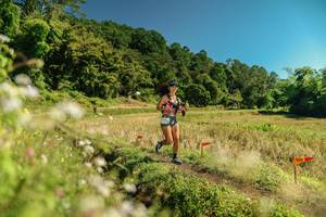 BIB: 
                            <button type="button" onclick="openModal(26710843)" class="btn btn-primary btn-sm float-right btn-popup" data-toggle="modal" data-target=".modal-high-quality">
                        <i class="fas fa-shopping-cart"></i> Add to Cart
                    </button>
                                            <button type="button" onclick="isThisMe(26710843, true)" class="btn btn-success btn-sm float-right btn-popup btn-isme hidden" data-toggle="tooltip" data-placement="bottom" title="นี่คือรูปของคุณใช่ไหม คลิกที่นี่เพื่อเอาเข้าอัลบั้ม">
                        <i class="fas fa-plus"></i> Add to album
                    </button>
                    <button type="button" onclick="isThisMe(26710843, false)" class="btn btn-warning btn-sm float-right btn-popup btn-isnotme hidden">
                        <i class="fas fa-ban"></i> Remove from album
                    </button>