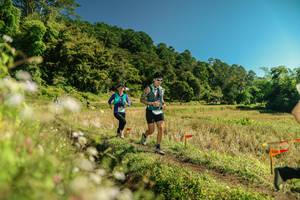 BIB: 
                            <button type="button" onclick="openModal(26703485)" class="btn btn-primary btn-sm float-right btn-popup" data-toggle="modal" data-target=".modal-high-quality">
                        <i class="fas fa-shopping-cart"></i> Add to Cart
                    </button>
                                            <button type="button" onclick="isThisMe(26703485, true)" class="btn btn-success btn-sm float-right btn-popup btn-isme hidden" data-toggle="tooltip" data-placement="bottom" title="นี่คือรูปของคุณใช่ไหม คลิกที่นี่เพื่อเอาเข้าอัลบั้ม">
                        <i class="fas fa-plus"></i> Add to album
                    </button>
                    <button type="button" onclick="isThisMe(26703485, false)" class="btn btn-warning btn-sm float-right btn-popup btn-isnotme hidden">
                        <i class="fas fa-ban"></i> Remove from album
                    </button>