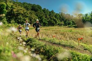 BIB: 
                            <button type="button" onclick="openModal(26697925)" class="btn btn-primary btn-sm float-right btn-popup" data-toggle="modal" data-target=".modal-high-quality">
                        <i class="fas fa-shopping-cart"></i> Add to Cart
                    </button>
                                            <button type="button" onclick="isThisMe(26697925, true)" class="btn btn-success btn-sm float-right btn-popup btn-isme hidden" data-toggle="tooltip" data-placement="bottom" title="นี่คือรูปของคุณใช่ไหม คลิกที่นี่เพื่อเอาเข้าอัลบั้ม">
                        <i class="fas fa-plus"></i> Add to album
                    </button>
                    <button type="button" onclick="isThisMe(26697925, false)" class="btn btn-warning btn-sm float-right btn-popup btn-isnotme hidden">
                        <i class="fas fa-ban"></i> Remove from album
                    </button>