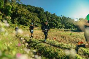 BIB: 
                            <button type="button" onclick="openModal(26636279)" class="btn btn-primary btn-sm float-right btn-popup" data-toggle="modal" data-target=".modal-high-quality">
                        <i class="fas fa-shopping-cart"></i> Add to Cart
                    </button>
                                            <button type="button" onclick="isThisMe(26636279, true)" class="btn btn-success btn-sm float-right btn-popup btn-isme hidden" data-toggle="tooltip" data-placement="bottom" title="นี่คือรูปของคุณใช่ไหม คลิกที่นี่เพื่อเอาเข้าอัลบั้ม">
                        <i class="fas fa-plus"></i> Add to album
                    </button>
                    <button type="button" onclick="isThisMe(26636279, false)" class="btn btn-warning btn-sm float-right btn-popup btn-isnotme hidden">
                        <i class="fas fa-ban"></i> Remove from album
                    </button>