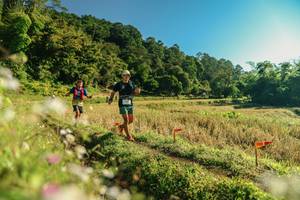 BIB: 
                            <button type="button" onclick="openModal(26637328)" class="btn btn-primary btn-sm float-right btn-popup" data-toggle="modal" data-target=".modal-high-quality">
                        <i class="fas fa-shopping-cart"></i> Add to Cart
                    </button>
                                            <button type="button" onclick="isThisMe(26637328, true)" class="btn btn-success btn-sm float-right btn-popup btn-isme hidden" data-toggle="tooltip" data-placement="bottom" title="นี่คือรูปของคุณใช่ไหม คลิกที่นี่เพื่อเอาเข้าอัลบั้ม">
                        <i class="fas fa-plus"></i> Add to album
                    </button>
                    <button type="button" onclick="isThisMe(26637328, false)" class="btn btn-warning btn-sm float-right btn-popup btn-isnotme hidden">
                        <i class="fas fa-ban"></i> Remove from album
                    </button>