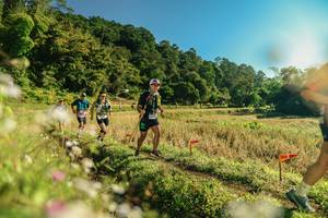 BIB: 
                            <button type="button" onclick="openModal(26637709)" class="btn btn-primary btn-sm float-right btn-popup" data-toggle="modal" data-target=".modal-high-quality">
                        <i class="fas fa-shopping-cart"></i> Add to Cart
                    </button>
                                            <button type="button" onclick="isThisMe(26637709, true)" class="btn btn-success btn-sm float-right btn-popup btn-isme hidden" data-toggle="tooltip" data-placement="bottom" title="นี่คือรูปของคุณใช่ไหม คลิกที่นี่เพื่อเอาเข้าอัลบั้ม">
                        <i class="fas fa-plus"></i> Add to album
                    </button>
                    <button type="button" onclick="isThisMe(26637709, false)" class="btn btn-warning btn-sm float-right btn-popup btn-isnotme hidden">
                        <i class="fas fa-ban"></i> Remove from album
                    </button>