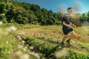 BIB: 
                            <button type="button" onclick="openModal(26699102)" class="btn btn-primary btn-sm float-right btn-popup" data-toggle="modal" data-target=".modal-high-quality">
                        <i class="fas fa-shopping-cart"></i> Add to Cart
                    </button>
                                            <button type="button" onclick="isThisMe(26699102, true)" class="btn btn-success btn-sm float-right btn-popup btn-isme hidden" data-toggle="tooltip" data-placement="bottom" title="นี่คือรูปของคุณใช่ไหม คลิกที่นี่เพื่อเอาเข้าอัลบั้ม">
                        <i class="fas fa-plus"></i> Add to album
                    </button>
                    <button type="button" onclick="isThisMe(26699102, false)" class="btn btn-warning btn-sm float-right btn-popup btn-isnotme hidden">
                        <i class="fas fa-ban"></i> Remove from album
                    </button>