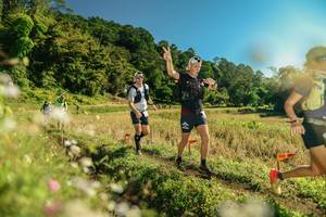 BIB: 
                            <button type="button" onclick="openModal(26671743)" class="btn btn-primary btn-sm float-right btn-popup" data-toggle="modal" data-target=".modal-high-quality">
                        <i class="fas fa-shopping-cart"></i> Add to Cart
                    </button>
                                            <button type="button" onclick="isThisMe(26671743, true)" class="btn btn-success btn-sm float-right btn-popup btn-isme hidden" data-toggle="tooltip" data-placement="bottom" title="นี่คือรูปของคุณใช่ไหม คลิกที่นี่เพื่อเอาเข้าอัลบั้ม">
                        <i class="fas fa-plus"></i> Add to album
                    </button>
                    <button type="button" onclick="isThisMe(26671743, false)" class="btn btn-warning btn-sm float-right btn-popup btn-isnotme hidden">
                        <i class="fas fa-ban"></i> Remove from album
                    </button>