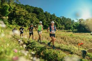 BIB: 
                            <button type="button" onclick="openModal(26638423)" class="btn btn-primary btn-sm float-right btn-popup" data-toggle="modal" data-target=".modal-high-quality">
                        <i class="fas fa-shopping-cart"></i> Add to Cart
                    </button>
                                            <button type="button" onclick="isThisMe(26638423, true)" class="btn btn-success btn-sm float-right btn-popup btn-isme hidden" data-toggle="tooltip" data-placement="bottom" title="นี่คือรูปของคุณใช่ไหม คลิกที่นี่เพื่อเอาเข้าอัลบั้ม">
                        <i class="fas fa-plus"></i> Add to album
                    </button>
                    <button type="button" onclick="isThisMe(26638423, false)" class="btn btn-warning btn-sm float-right btn-popup btn-isnotme hidden">
                        <i class="fas fa-ban"></i> Remove from album
                    </button>