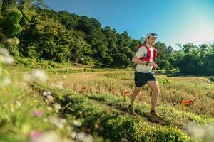 BIB: 
                            <button type="button" onclick="openModal(26637450)" class="btn btn-primary btn-sm float-right btn-popup" data-toggle="modal" data-target=".modal-high-quality">
                        <i class="fas fa-shopping-cart"></i> Add to Cart
                    </button>
                                            <button type="button" onclick="isThisMe(26637450, true)" class="btn btn-success btn-sm float-right btn-popup btn-isme hidden" data-toggle="tooltip" data-placement="bottom" title="นี่คือรูปของคุณใช่ไหม คลิกที่นี่เพื่อเอาเข้าอัลบั้ม">
                        <i class="fas fa-plus"></i> Add to album
                    </button>
                    <button type="button" onclick="isThisMe(26637450, false)" class="btn btn-warning btn-sm float-right btn-popup btn-isnotme hidden">
                        <i class="fas fa-ban"></i> Remove from album
                    </button>