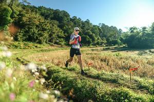 BIB: 
                            <button type="button" onclick="openModal(26632951)" class="btn btn-primary btn-sm float-right btn-popup" data-toggle="modal" data-target=".modal-high-quality">
                        <i class="fas fa-shopping-cart"></i> Add to Cart
                    </button>
                                            <button type="button" onclick="isThisMe(26632951, true)" class="btn btn-success btn-sm float-right btn-popup btn-isme hidden" data-toggle="tooltip" data-placement="bottom" title="นี่คือรูปของคุณใช่ไหม คลิกที่นี่เพื่อเอาเข้าอัลบั้ม">
                        <i class="fas fa-plus"></i> Add to album
                    </button>
                    <button type="button" onclick="isThisMe(26632951, false)" class="btn btn-warning btn-sm float-right btn-popup btn-isnotme hidden">
                        <i class="fas fa-ban"></i> Remove from album
                    </button>