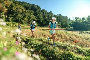 BIB: 
                            <button type="button" onclick="openModal(26633186)" class="btn btn-primary btn-sm float-right btn-popup" data-toggle="modal" data-target=".modal-high-quality">
                        <i class="fas fa-shopping-cart"></i> Add to Cart
                    </button>
                                            <button type="button" onclick="isThisMe(26633186, true)" class="btn btn-success btn-sm float-right btn-popup btn-isme hidden" data-toggle="tooltip" data-placement="bottom" title="นี่คือรูปของคุณใช่ไหม คลิกที่นี่เพื่อเอาเข้าอัลบั้ม">
                        <i class="fas fa-plus"></i> Add to album
                    </button>
                    <button type="button" onclick="isThisMe(26633186, false)" class="btn btn-warning btn-sm float-right btn-popup btn-isnotme hidden">
                        <i class="fas fa-ban"></i> Remove from album
                    </button>