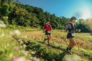 BIB: 
                            <button type="button" onclick="openModal(26637481)" class="btn btn-primary btn-sm float-right btn-popup" data-toggle="modal" data-target=".modal-high-quality">
                        <i class="fas fa-shopping-cart"></i> Add to Cart
                    </button>
                                            <button type="button" onclick="isThisMe(26637481, true)" class="btn btn-success btn-sm float-right btn-popup btn-isme hidden" data-toggle="tooltip" data-placement="bottom" title="นี่คือรูปของคุณใช่ไหม คลิกที่นี่เพื่อเอาเข้าอัลบั้ม">
                        <i class="fas fa-plus"></i> Add to album
                    </button>
                    <button type="button" onclick="isThisMe(26637481, false)" class="btn btn-warning btn-sm float-right btn-popup btn-isnotme hidden">
                        <i class="fas fa-ban"></i> Remove from album
                    </button>