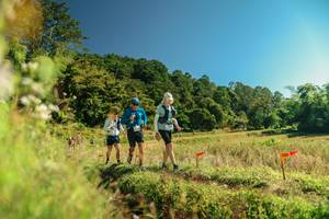 BIB: 
                            <button type="button" onclick="openModal(26694333)" class="btn btn-primary btn-sm float-right btn-popup" data-toggle="modal" data-target=".modal-high-quality">
                        <i class="fas fa-shopping-cart"></i> Add to Cart
                    </button>
                                            <button type="button" onclick="isThisMe(26694333, true)" class="btn btn-success btn-sm float-right btn-popup btn-isme hidden" data-toggle="tooltip" data-placement="bottom" title="นี่คือรูปของคุณใช่ไหม คลิกที่นี่เพื่อเอาเข้าอัลบั้ม">
                        <i class="fas fa-plus"></i> Add to album
                    </button>
                    <button type="button" onclick="isThisMe(26694333, false)" class="btn btn-warning btn-sm float-right btn-popup btn-isnotme hidden">
                        <i class="fas fa-ban"></i> Remove from album
                    </button>