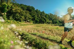 BIB: 
                            <button type="button" onclick="openModal(26678148)" class="btn btn-primary btn-sm float-right btn-popup" data-toggle="modal" data-target=".modal-high-quality">
                        <i class="fas fa-shopping-cart"></i> Add to Cart
                    </button>
                                            <button type="button" onclick="isThisMe(26678148, true)" class="btn btn-success btn-sm float-right btn-popup btn-isme hidden" data-toggle="tooltip" data-placement="bottom" title="นี่คือรูปของคุณใช่ไหม คลิกที่นี่เพื่อเอาเข้าอัลบั้ม">
                        <i class="fas fa-plus"></i> Add to album
                    </button>
                    <button type="button" onclick="isThisMe(26678148, false)" class="btn btn-warning btn-sm float-right btn-popup btn-isnotme hidden">
                        <i class="fas fa-ban"></i> Remove from album
                    </button>