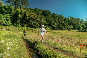 BIB: 
                            <button type="button" onclick="openModal(26714704)" class="btn btn-primary btn-sm float-right btn-popup" data-toggle="modal" data-target=".modal-high-quality">
                        <i class="fas fa-shopping-cart"></i> Add to Cart
                    </button>
                                            <button type="button" onclick="isThisMe(26714704, true)" class="btn btn-success btn-sm float-right btn-popup btn-isme hidden" data-toggle="tooltip" data-placement="bottom" title="นี่คือรูปของคุณใช่ไหม คลิกที่นี่เพื่อเอาเข้าอัลบั้ม">
                        <i class="fas fa-plus"></i> Add to album
                    </button>
                    <button type="button" onclick="isThisMe(26714704, false)" class="btn btn-warning btn-sm float-right btn-popup btn-isnotme hidden">
                        <i class="fas fa-ban"></i> Remove from album
                    </button>