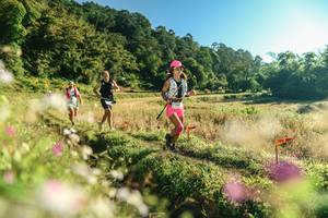 BIB: 
                            <button type="button" onclick="openModal(26633954)" class="btn btn-primary btn-sm float-right btn-popup" data-toggle="modal" data-target=".modal-high-quality">
                        <i class="fas fa-shopping-cart"></i> Add to Cart
                    </button>
                                            <button type="button" onclick="isThisMe(26633954, true)" class="btn btn-success btn-sm float-right btn-popup btn-isme hidden" data-toggle="tooltip" data-placement="bottom" title="นี่คือรูปของคุณใช่ไหม คลิกที่นี่เพื่อเอาเข้าอัลบั้ม">
                        <i class="fas fa-plus"></i> Add to album
                    </button>
                    <button type="button" onclick="isThisMe(26633954, false)" class="btn btn-warning btn-sm float-right btn-popup btn-isnotme hidden">
                        <i class="fas fa-ban"></i> Remove from album
                    </button>