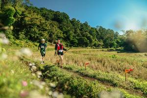 BIB: 
                            <button type="button" onclick="openModal(26653822)" class="btn btn-primary btn-sm float-right btn-popup" data-toggle="modal" data-target=".modal-high-quality">
                        <i class="fas fa-shopping-cart"></i> Add to Cart
                    </button>
                                            <button type="button" onclick="isThisMe(26653822, true)" class="btn btn-success btn-sm float-right btn-popup btn-isme hidden" data-toggle="tooltip" data-placement="bottom" title="นี่คือรูปของคุณใช่ไหม คลิกที่นี่เพื่อเอาเข้าอัลบั้ม">
                        <i class="fas fa-plus"></i> Add to album
                    </button>
                    <button type="button" onclick="isThisMe(26653822, false)" class="btn btn-warning btn-sm float-right btn-popup btn-isnotme hidden">
                        <i class="fas fa-ban"></i> Remove from album
                    </button>