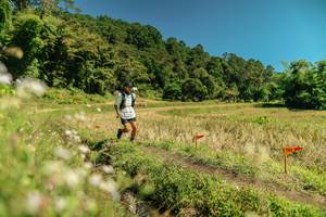 BIB: 
                            <button type="button" onclick="openModal(26735851)" class="btn btn-primary btn-sm float-right btn-popup" data-toggle="modal" data-target=".modal-high-quality">
                        <i class="fas fa-shopping-cart"></i> Add to Cart
                    </button>
                                            <button type="button" onclick="isThisMe(26735851, true)" class="btn btn-success btn-sm float-right btn-popup btn-isme hidden" data-toggle="tooltip" data-placement="bottom" title="นี่คือรูปของคุณใช่ไหม คลิกที่นี่เพื่อเอาเข้าอัลบั้ม">
                        <i class="fas fa-plus"></i> Add to album
                    </button>
                    <button type="button" onclick="isThisMe(26735851, false)" class="btn btn-warning btn-sm float-right btn-popup btn-isnotme hidden">
                        <i class="fas fa-ban"></i> Remove from album
                    </button>