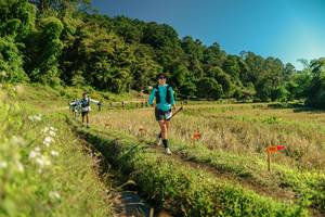 BIB: 
                            <button type="button" onclick="openModal(26694431)" class="btn btn-primary btn-sm float-right btn-popup" data-toggle="modal" data-target=".modal-high-quality">
                        <i class="fas fa-shopping-cart"></i> Add to Cart
                    </button>
                                            <button type="button" onclick="isThisMe(26694431, true)" class="btn btn-success btn-sm float-right btn-popup btn-isme hidden" data-toggle="tooltip" data-placement="bottom" title="นี่คือรูปของคุณใช่ไหม คลิกที่นี่เพื่อเอาเข้าอัลบั้ม">
                        <i class="fas fa-plus"></i> Add to album
                    </button>
                    <button type="button" onclick="isThisMe(26694431, false)" class="btn btn-warning btn-sm float-right btn-popup btn-isnotme hidden">
                        <i class="fas fa-ban"></i> Remove from album
                    </button>