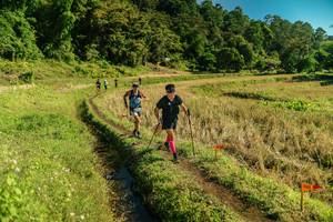 BIB: 
                            <button type="button" onclick="openModal(26692558)" class="btn btn-primary btn-sm float-right btn-popup" data-toggle="modal" data-target=".modal-high-quality">
                        <i class="fas fa-shopping-cart"></i> Add to Cart
                    </button>
                                            <button type="button" onclick="isThisMe(26692558, true)" class="btn btn-success btn-sm float-right btn-popup btn-isme hidden" data-toggle="tooltip" data-placement="bottom" title="นี่คือรูปของคุณใช่ไหม คลิกที่นี่เพื่อเอาเข้าอัลบั้ม">
                        <i class="fas fa-plus"></i> Add to album
                    </button>
                    <button type="button" onclick="isThisMe(26692558, false)" class="btn btn-warning btn-sm float-right btn-popup btn-isnotme hidden">
                        <i class="fas fa-ban"></i> Remove from album
                    </button>