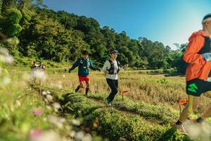 BIB: 
                            <button type="button" onclick="openModal(26637305)" class="btn btn-primary btn-sm float-right btn-popup" data-toggle="modal" data-target=".modal-high-quality">
                        <i class="fas fa-shopping-cart"></i> Add to Cart
                    </button>
                                            <button type="button" onclick="isThisMe(26637305, true)" class="btn btn-success btn-sm float-right btn-popup btn-isme hidden" data-toggle="tooltip" data-placement="bottom" title="นี่คือรูปของคุณใช่ไหม คลิกที่นี่เพื่อเอาเข้าอัลบั้ม">
                        <i class="fas fa-plus"></i> Add to album
                    </button>
                    <button type="button" onclick="isThisMe(26637305, false)" class="btn btn-warning btn-sm float-right btn-popup btn-isnotme hidden">
                        <i class="fas fa-ban"></i> Remove from album
                    </button>