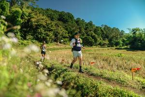 BIB: 
                            <button type="button" onclick="openModal(26702872)" class="btn btn-primary btn-sm float-right btn-popup" data-toggle="modal" data-target=".modal-high-quality">
                        <i class="fas fa-shopping-cart"></i> Add to Cart
                    </button>
                                            <button type="button" onclick="isThisMe(26702872, true)" class="btn btn-success btn-sm float-right btn-popup btn-isme hidden" data-toggle="tooltip" data-placement="bottom" title="นี่คือรูปของคุณใช่ไหม คลิกที่นี่เพื่อเอาเข้าอัลบั้ม">
                        <i class="fas fa-plus"></i> Add to album
                    </button>
                    <button type="button" onclick="isThisMe(26702872, false)" class="btn btn-warning btn-sm float-right btn-popup btn-isnotme hidden">
                        <i class="fas fa-ban"></i> Remove from album
                    </button>