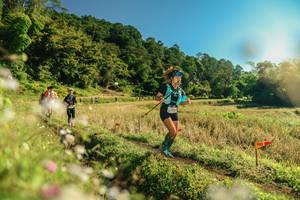 BIB: 
                            <button type="button" onclick="openModal(26638378)" class="btn btn-primary btn-sm float-right btn-popup" data-toggle="modal" data-target=".modal-high-quality">
                        <i class="fas fa-shopping-cart"></i> Add to Cart
                    </button>
                                            <button type="button" onclick="isThisMe(26638378, true)" class="btn btn-success btn-sm float-right btn-popup btn-isme hidden" data-toggle="tooltip" data-placement="bottom" title="นี่คือรูปของคุณใช่ไหม คลิกที่นี่เพื่อเอาเข้าอัลบั้ม">
                        <i class="fas fa-plus"></i> Add to album
                    </button>
                    <button type="button" onclick="isThisMe(26638378, false)" class="btn btn-warning btn-sm float-right btn-popup btn-isnotme hidden">
                        <i class="fas fa-ban"></i> Remove from album
                    </button>