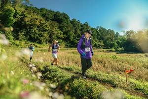 BIB: 
                            <button type="button" onclick="openModal(26638067)" class="btn btn-primary btn-sm float-right btn-popup" data-toggle="modal" data-target=".modal-high-quality">
                        <i class="fas fa-shopping-cart"></i> Add to Cart
                    </button>
                                            <button type="button" onclick="isThisMe(26638067, true)" class="btn btn-success btn-sm float-right btn-popup btn-isme hidden" data-toggle="tooltip" data-placement="bottom" title="นี่คือรูปของคุณใช่ไหม คลิกที่นี่เพื่อเอาเข้าอัลบั้ม">
                        <i class="fas fa-plus"></i> Add to album
                    </button>
                    <button type="button" onclick="isThisMe(26638067, false)" class="btn btn-warning btn-sm float-right btn-popup btn-isnotme hidden">
                        <i class="fas fa-ban"></i> Remove from album
                    </button>