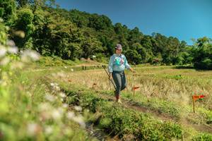 BIB: 
                            <button type="button" onclick="openModal(26734501)" class="btn btn-primary btn-sm float-right btn-popup" data-toggle="modal" data-target=".modal-high-quality">
                        <i class="fas fa-shopping-cart"></i> Add to Cart
                    </button>
                                            <button type="button" onclick="isThisMe(26734501, true)" class="btn btn-success btn-sm float-right btn-popup btn-isme hidden" data-toggle="tooltip" data-placement="bottom" title="นี่คือรูปของคุณใช่ไหม คลิกที่นี่เพื่อเอาเข้าอัลบั้ม">
                        <i class="fas fa-plus"></i> Add to album
                    </button>
                    <button type="button" onclick="isThisMe(26734501, false)" class="btn btn-warning btn-sm float-right btn-popup btn-isnotme hidden">
                        <i class="fas fa-ban"></i> Remove from album
                    </button>