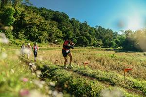 BIB: 
                            <button type="button" onclick="openModal(26638145)" class="btn btn-primary btn-sm float-right btn-popup" data-toggle="modal" data-target=".modal-high-quality">
                        <i class="fas fa-shopping-cart"></i> Add to Cart
                    </button>
                                            <button type="button" onclick="isThisMe(26638145, true)" class="btn btn-success btn-sm float-right btn-popup btn-isme hidden" data-toggle="tooltip" data-placement="bottom" title="นี่คือรูปของคุณใช่ไหม คลิกที่นี่เพื่อเอาเข้าอัลบั้ม">
                        <i class="fas fa-plus"></i> Add to album
                    </button>
                    <button type="button" onclick="isThisMe(26638145, false)" class="btn btn-warning btn-sm float-right btn-popup btn-isnotme hidden">
                        <i class="fas fa-ban"></i> Remove from album
                    </button>