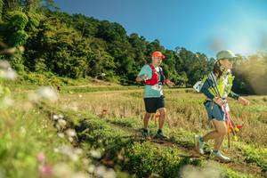 BIB: 
                            <button type="button" onclick="openModal(26686824)" class="btn btn-primary btn-sm float-right btn-popup" data-toggle="modal" data-target=".modal-high-quality">
                        <i class="fas fa-shopping-cart"></i> Add to Cart
                    </button>
                                            <button type="button" onclick="isThisMe(26686824, true)" class="btn btn-success btn-sm float-right btn-popup btn-isme hidden" data-toggle="tooltip" data-placement="bottom" title="นี่คือรูปของคุณใช่ไหม คลิกที่นี่เพื่อเอาเข้าอัลบั้ม">
                        <i class="fas fa-plus"></i> Add to album
                    </button>
                    <button type="button" onclick="isThisMe(26686824, false)" class="btn btn-warning btn-sm float-right btn-popup btn-isnotme hidden">
                        <i class="fas fa-ban"></i> Remove from album
                    </button>