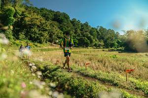 BIB: 
                            <button type="button" onclick="openModal(26679805)" class="btn btn-primary btn-sm float-right btn-popup" data-toggle="modal" data-target=".modal-high-quality">
                        <i class="fas fa-shopping-cart"></i> Add to Cart
                    </button>
                                            <button type="button" onclick="isThisMe(26679805, true)" class="btn btn-success btn-sm float-right btn-popup btn-isme hidden" data-toggle="tooltip" data-placement="bottom" title="นี่คือรูปของคุณใช่ไหม คลิกที่นี่เพื่อเอาเข้าอัลบั้ม">
                        <i class="fas fa-plus"></i> Add to album
                    </button>
                    <button type="button" onclick="isThisMe(26679805, false)" class="btn btn-warning btn-sm float-right btn-popup btn-isnotme hidden">
                        <i class="fas fa-ban"></i> Remove from album
                    </button>