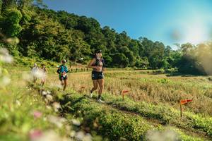 BIB: 
                            <button type="button" onclick="openModal(26637865)" class="btn btn-primary btn-sm float-right btn-popup" data-toggle="modal" data-target=".modal-high-quality">
                        <i class="fas fa-shopping-cart"></i> Add to Cart
                    </button>
                                            <button type="button" onclick="isThisMe(26637865, true)" class="btn btn-success btn-sm float-right btn-popup btn-isme hidden" data-toggle="tooltip" data-placement="bottom" title="นี่คือรูปของคุณใช่ไหม คลิกที่นี่เพื่อเอาเข้าอัลบั้ม">
                        <i class="fas fa-plus"></i> Add to album
                    </button>
                    <button type="button" onclick="isThisMe(26637865, false)" class="btn btn-warning btn-sm float-right btn-popup btn-isnotme hidden">
                        <i class="fas fa-ban"></i> Remove from album
                    </button>