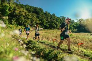 BIB: 
                            <button type="button" onclick="openModal(26637712)" class="btn btn-primary btn-sm float-right btn-popup" data-toggle="modal" data-target=".modal-high-quality">
                        <i class="fas fa-shopping-cart"></i> Add to Cart
                    </button>
                                            <button type="button" onclick="isThisMe(26637712, true)" class="btn btn-success btn-sm float-right btn-popup btn-isme hidden" data-toggle="tooltip" data-placement="bottom" title="นี่คือรูปของคุณใช่ไหม คลิกที่นี่เพื่อเอาเข้าอัลบั้ม">
                        <i class="fas fa-plus"></i> Add to album
                    </button>
                    <button type="button" onclick="isThisMe(26637712, false)" class="btn btn-warning btn-sm float-right btn-popup btn-isnotme hidden">
                        <i class="fas fa-ban"></i> Remove from album
                    </button>