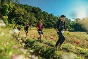 BIB: 
                            <button type="button" onclick="openModal(26637510)" class="btn btn-primary btn-sm float-right btn-popup" data-toggle="modal" data-target=".modal-high-quality">
                        <i class="fas fa-shopping-cart"></i> Add to Cart
                    </button>
                                            <button type="button" onclick="isThisMe(26637510, true)" class="btn btn-success btn-sm float-right btn-popup btn-isme hidden" data-toggle="tooltip" data-placement="bottom" title="นี่คือรูปของคุณใช่ไหม คลิกที่นี่เพื่อเอาเข้าอัลบั้ม">
                        <i class="fas fa-plus"></i> Add to album
                    </button>
                    <button type="button" onclick="isThisMe(26637510, false)" class="btn btn-warning btn-sm float-right btn-popup btn-isnotme hidden">
                        <i class="fas fa-ban"></i> Remove from album
                    </button>