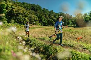 BIB: 
                            <button type="button" onclick="openModal(26699592)" class="btn btn-primary btn-sm float-right btn-popup" data-toggle="modal" data-target=".modal-high-quality">
                        <i class="fas fa-shopping-cart"></i> Add to Cart
                    </button>
                                            <button type="button" onclick="isThisMe(26699592, true)" class="btn btn-success btn-sm float-right btn-popup btn-isme hidden" data-toggle="tooltip" data-placement="bottom" title="นี่คือรูปของคุณใช่ไหม คลิกที่นี่เพื่อเอาเข้าอัลบั้ม">
                        <i class="fas fa-plus"></i> Add to album
                    </button>
                    <button type="button" onclick="isThisMe(26699592, false)" class="btn btn-warning btn-sm float-right btn-popup btn-isnotme hidden">
                        <i class="fas fa-ban"></i> Remove from album
                    </button>