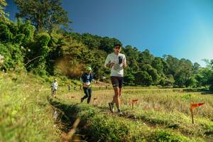 BIB: 
                            <button type="button" onclick="openModal(26692981)" class="btn btn-primary btn-sm float-right btn-popup" data-toggle="modal" data-target=".modal-high-quality">
                        <i class="fas fa-shopping-cart"></i> Add to Cart
                    </button>
                                            <button type="button" onclick="isThisMe(26692981, true)" class="btn btn-success btn-sm float-right btn-popup btn-isme hidden" data-toggle="tooltip" data-placement="bottom" title="นี่คือรูปของคุณใช่ไหม คลิกที่นี่เพื่อเอาเข้าอัลบั้ม">
                        <i class="fas fa-plus"></i> Add to album
                    </button>
                    <button type="button" onclick="isThisMe(26692981, false)" class="btn btn-warning btn-sm float-right btn-popup btn-isnotme hidden">
                        <i class="fas fa-ban"></i> Remove from album
                    </button>