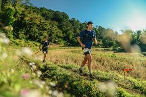 BIB: 
                            <button type="button" onclick="openModal(26636952)" class="btn btn-primary btn-sm float-right btn-popup" data-toggle="modal" data-target=".modal-high-quality">
                        <i class="fas fa-shopping-cart"></i> Add to Cart
                    </button>
                                            <button type="button" onclick="isThisMe(26636952, true)" class="btn btn-success btn-sm float-right btn-popup btn-isme hidden" data-toggle="tooltip" data-placement="bottom" title="นี่คือรูปของคุณใช่ไหม คลิกที่นี่เพื่อเอาเข้าอัลบั้ม">
                        <i class="fas fa-plus"></i> Add to album
                    </button>
                    <button type="button" onclick="isThisMe(26636952, false)" class="btn btn-warning btn-sm float-right btn-popup btn-isnotme hidden">
                        <i class="fas fa-ban"></i> Remove from album
                    </button>