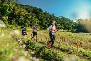 BIB: 
                            <button type="button" onclick="openModal(26638159)" class="btn btn-primary btn-sm float-right btn-popup" data-toggle="modal" data-target=".modal-high-quality">
                        <i class="fas fa-shopping-cart"></i> Add to Cart
                    </button>
                                            <button type="button" onclick="isThisMe(26638159, true)" class="btn btn-success btn-sm float-right btn-popup btn-isme hidden" data-toggle="tooltip" data-placement="bottom" title="นี่คือรูปของคุณใช่ไหม คลิกที่นี่เพื่อเอาเข้าอัลบั้ม">
                        <i class="fas fa-plus"></i> Add to album
                    </button>
                    <button type="button" onclick="isThisMe(26638159, false)" class="btn btn-warning btn-sm float-right btn-popup btn-isnotme hidden">
                        <i class="fas fa-ban"></i> Remove from album
                    </button>