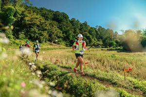 BIB: 
                            <button type="button" onclick="openModal(26681776)" class="btn btn-primary btn-sm float-right btn-popup" data-toggle="modal" data-target=".modal-high-quality">
                        <i class="fas fa-shopping-cart"></i> Add to Cart
                    </button>
                                            <button type="button" onclick="isThisMe(26681776, true)" class="btn btn-success btn-sm float-right btn-popup btn-isme hidden" data-toggle="tooltip" data-placement="bottom" title="นี่คือรูปของคุณใช่ไหม คลิกที่นี่เพื่อเอาเข้าอัลบั้ม">
                        <i class="fas fa-plus"></i> Add to album
                    </button>
                    <button type="button" onclick="isThisMe(26681776, false)" class="btn btn-warning btn-sm float-right btn-popup btn-isnotme hidden">
                        <i class="fas fa-ban"></i> Remove from album
                    </button>