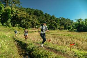 BIB: 
                            <button type="button" onclick="openModal(26714265)" class="btn btn-primary btn-sm float-right btn-popup" data-toggle="modal" data-target=".modal-high-quality">
                        <i class="fas fa-shopping-cart"></i> Add to Cart
                    </button>
                                            <button type="button" onclick="isThisMe(26714265, true)" class="btn btn-success btn-sm float-right btn-popup btn-isme hidden" data-toggle="tooltip" data-placement="bottom" title="นี่คือรูปของคุณใช่ไหม คลิกที่นี่เพื่อเอาเข้าอัลบั้ม">
                        <i class="fas fa-plus"></i> Add to album
                    </button>
                    <button type="button" onclick="isThisMe(26714265, false)" class="btn btn-warning btn-sm float-right btn-popup btn-isnotme hidden">
                        <i class="fas fa-ban"></i> Remove from album
                    </button>