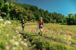 BIB: 
                            <button type="button" onclick="openModal(26723593)" class="btn btn-primary btn-sm float-right btn-popup" data-toggle="modal" data-target=".modal-high-quality">
                        <i class="fas fa-shopping-cart"></i> Add to Cart
                    </button>
                                            <button type="button" onclick="isThisMe(26723593, true)" class="btn btn-success btn-sm float-right btn-popup btn-isme hidden" data-toggle="tooltip" data-placement="bottom" title="นี่คือรูปของคุณใช่ไหม คลิกที่นี่เพื่อเอาเข้าอัลบั้ม">
                        <i class="fas fa-plus"></i> Add to album
                    </button>
                    <button type="button" onclick="isThisMe(26723593, false)" class="btn btn-warning btn-sm float-right btn-popup btn-isnotme hidden">
                        <i class="fas fa-ban"></i> Remove from album
                    </button>