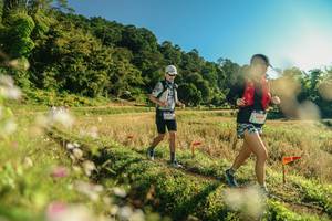 BIB: 
                            <button type="button" onclick="openModal(26636755)" class="btn btn-primary btn-sm float-right btn-popup" data-toggle="modal" data-target=".modal-high-quality">
                        <i class="fas fa-shopping-cart"></i> Add to Cart
                    </button>
                                            <button type="button" onclick="isThisMe(26636755, true)" class="btn btn-success btn-sm float-right btn-popup btn-isme hidden" data-toggle="tooltip" data-placement="bottom" title="นี่คือรูปของคุณใช่ไหม คลิกที่นี่เพื่อเอาเข้าอัลบั้ม">
                        <i class="fas fa-plus"></i> Add to album
                    </button>
                    <button type="button" onclick="isThisMe(26636755, false)" class="btn btn-warning btn-sm float-right btn-popup btn-isnotme hidden">
                        <i class="fas fa-ban"></i> Remove from album
                    </button>