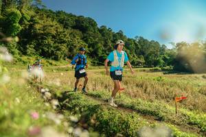 BIB: 
                            <button type="button" onclick="openModal(26638788)" class="btn btn-primary btn-sm float-right btn-popup" data-toggle="modal" data-target=".modal-high-quality">
                        <i class="fas fa-shopping-cart"></i> Add to Cart
                    </button>
                                            <button type="button" onclick="isThisMe(26638788, true)" class="btn btn-success btn-sm float-right btn-popup btn-isme hidden" data-toggle="tooltip" data-placement="bottom" title="นี่คือรูปของคุณใช่ไหม คลิกที่นี่เพื่อเอาเข้าอัลบั้ม">
                        <i class="fas fa-plus"></i> Add to album
                    </button>
                    <button type="button" onclick="isThisMe(26638788, false)" class="btn btn-warning btn-sm float-right btn-popup btn-isnotme hidden">
                        <i class="fas fa-ban"></i> Remove from album
                    </button>