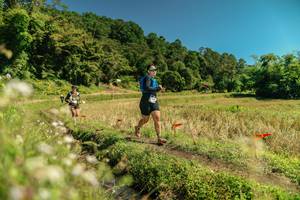 BIB: 
                            <button type="button" onclick="openModal(26725256)" class="btn btn-primary btn-sm float-right btn-popup" data-toggle="modal" data-target=".modal-high-quality">
                        <i class="fas fa-shopping-cart"></i> Add to Cart
                    </button>
                                            <button type="button" onclick="isThisMe(26725256, true)" class="btn btn-success btn-sm float-right btn-popup btn-isme hidden" data-toggle="tooltip" data-placement="bottom" title="นี่คือรูปของคุณใช่ไหม คลิกที่นี่เพื่อเอาเข้าอัลบั้ม">
                        <i class="fas fa-plus"></i> Add to album
                    </button>
                    <button type="button" onclick="isThisMe(26725256, false)" class="btn btn-warning btn-sm float-right btn-popup btn-isnotme hidden">
                        <i class="fas fa-ban"></i> Remove from album
                    </button>