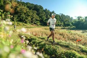 BIB: 
                            <button type="button" onclick="openModal(26633081)" class="btn btn-primary btn-sm float-right btn-popup" data-toggle="modal" data-target=".modal-high-quality">
                        <i class="fas fa-shopping-cart"></i> Add to Cart
                    </button>
                                            <button type="button" onclick="isThisMe(26633081, true)" class="btn btn-success btn-sm float-right btn-popup btn-isme hidden" data-toggle="tooltip" data-placement="bottom" title="นี่คือรูปของคุณใช่ไหม คลิกที่นี่เพื่อเอาเข้าอัลบั้ม">
                        <i class="fas fa-plus"></i> Add to album
                    </button>
                    <button type="button" onclick="isThisMe(26633081, false)" class="btn btn-warning btn-sm float-right btn-popup btn-isnotme hidden">
                        <i class="fas fa-ban"></i> Remove from album
                    </button>