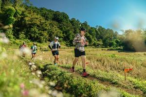 BIB: 
                            <button type="button" onclick="openModal(26688818)" class="btn btn-primary btn-sm float-right btn-popup" data-toggle="modal" data-target=".modal-high-quality">
                        <i class="fas fa-shopping-cart"></i> Add to Cart
                    </button>
                                            <button type="button" onclick="isThisMe(26688818, true)" class="btn btn-success btn-sm float-right btn-popup btn-isme hidden" data-toggle="tooltip" data-placement="bottom" title="นี่คือรูปของคุณใช่ไหม คลิกที่นี่เพื่อเอาเข้าอัลบั้ม">
                        <i class="fas fa-plus"></i> Add to album
                    </button>
                    <button type="button" onclick="isThisMe(26688818, false)" class="btn btn-warning btn-sm float-right btn-popup btn-isnotme hidden">
                        <i class="fas fa-ban"></i> Remove from album
                    </button>