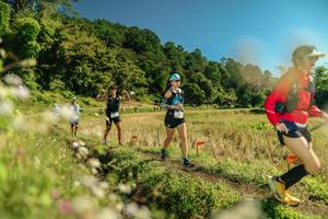 BIB: 
                            <button type="button" onclick="openModal(26700219)" class="btn btn-primary btn-sm float-right btn-popup" data-toggle="modal" data-target=".modal-high-quality">
                        <i class="fas fa-shopping-cart"></i> Add to Cart
                    </button>
                                            <button type="button" onclick="isThisMe(26700219, true)" class="btn btn-success btn-sm float-right btn-popup btn-isme hidden" data-toggle="tooltip" data-placement="bottom" title="นี่คือรูปของคุณใช่ไหม คลิกที่นี่เพื่อเอาเข้าอัลบั้ม">
                        <i class="fas fa-plus"></i> Add to album
                    </button>
                    <button type="button" onclick="isThisMe(26700219, false)" class="btn btn-warning btn-sm float-right btn-popup btn-isnotme hidden">
                        <i class="fas fa-ban"></i> Remove from album
                    </button>