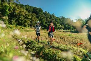 BIB: 
                            <button type="button" onclick="openModal(26636752)" class="btn btn-primary btn-sm float-right btn-popup" data-toggle="modal" data-target=".modal-high-quality">
                        <i class="fas fa-shopping-cart"></i> Add to Cart
                    </button>
                                            <button type="button" onclick="isThisMe(26636752, true)" class="btn btn-success btn-sm float-right btn-popup btn-isme hidden" data-toggle="tooltip" data-placement="bottom" title="นี่คือรูปของคุณใช่ไหม คลิกที่นี่เพื่อเอาเข้าอัลบั้ม">
                        <i class="fas fa-plus"></i> Add to album
                    </button>
                    <button type="button" onclick="isThisMe(26636752, false)" class="btn btn-warning btn-sm float-right btn-popup btn-isnotme hidden">
                        <i class="fas fa-ban"></i> Remove from album
                    </button>