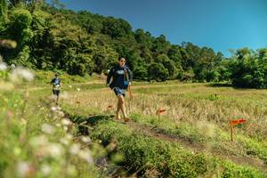 BIB: 
                            <button type="button" onclick="openModal(26731832)" class="btn btn-primary btn-sm float-right btn-popup" data-toggle="modal" data-target=".modal-high-quality">
                        <i class="fas fa-shopping-cart"></i> Add to Cart
                    </button>
                                            <button type="button" onclick="isThisMe(26731832, true)" class="btn btn-success btn-sm float-right btn-popup btn-isme hidden" data-toggle="tooltip" data-placement="bottom" title="นี่คือรูปของคุณใช่ไหม คลิกที่นี่เพื่อเอาเข้าอัลบั้ม">
                        <i class="fas fa-plus"></i> Add to album
                    </button>
                    <button type="button" onclick="isThisMe(26731832, false)" class="btn btn-warning btn-sm float-right btn-popup btn-isnotme hidden">
                        <i class="fas fa-ban"></i> Remove from album
                    </button>